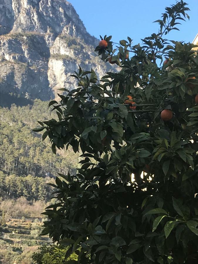 Casa Nika Lägenhet Riva del Garda Exteriör bild